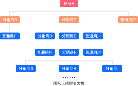 团队分红模式